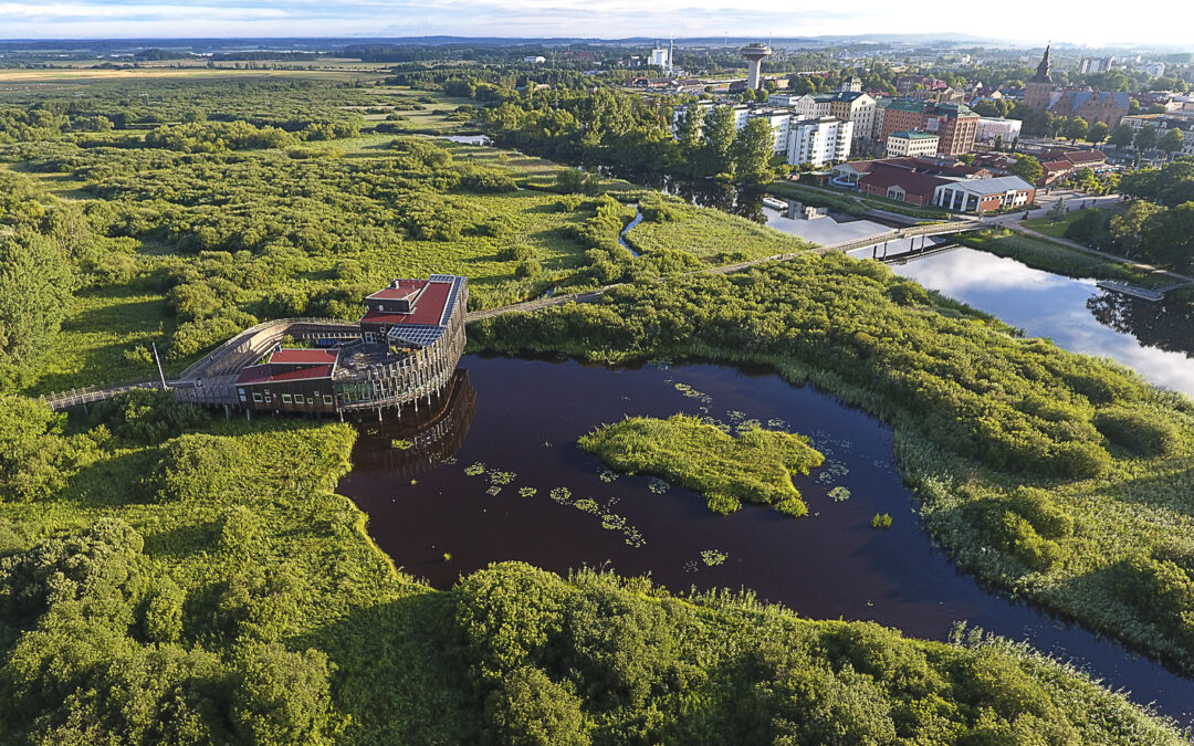 Fruktkorgar Kristianstad